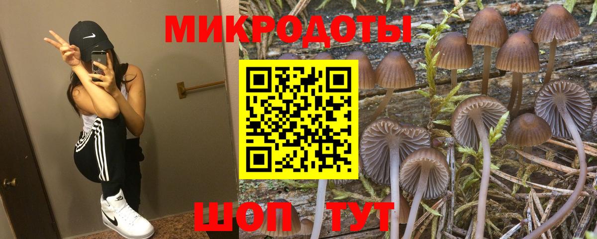 Псилоцибиновые грибы GOLDEN TEACHER  где купить   Королёв  Вход с VPN  Псилоцибиновые грибы MAGIC MUSHROOMS 